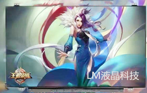 【新客立减】Acer one 722 AO725 756 V5-171 N116BGE-L41/L42