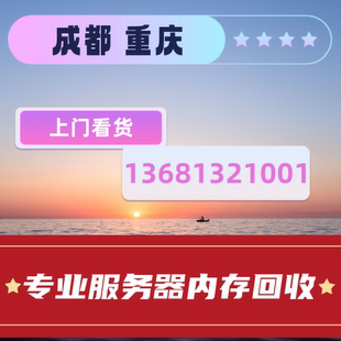 二手Dell戴尔PowerEdge 机架回收 840服务器1GB内存ECC专业塔式