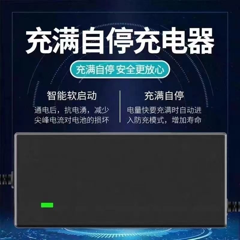 锂电池电动车充电器48V36V24V72V12V电车锂离子60V哈雷36V平衡车