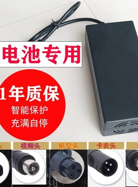 锂电池充电器48V36V60V24V2A72V锂离子哈雷平衡车改装车