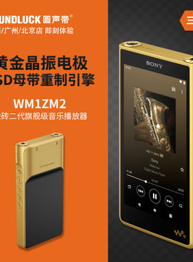Sony/索尼NW-WM1ZM2金砖二代高清音乐便携式HiFi播放器圆声带行货