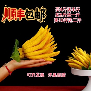 金华佛手现摘现发新鲜佛手果佛手柑香橼果清供青果带枝水养