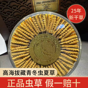 礼盒 可装 2026年高海拔野生藏青新干冬虫夏草 假一赔十