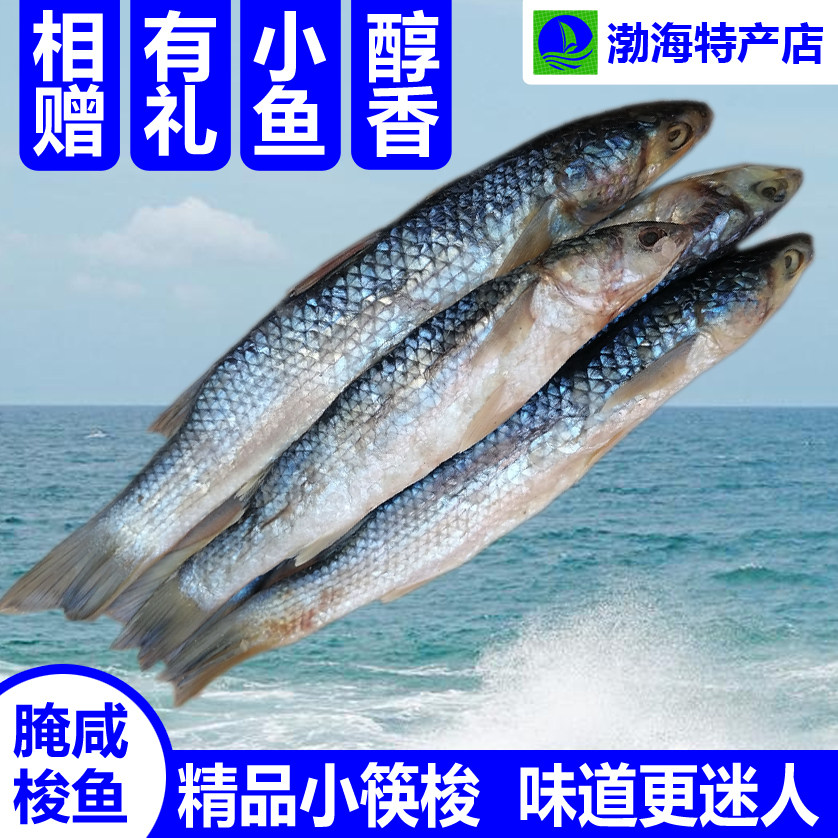 腌咸梭鱼渤海特产小筷梭小号海鱼非养殖自腌制水产干货新鲜红眼梭