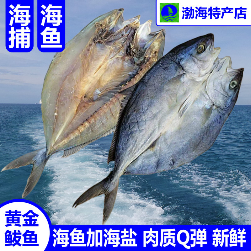 黄金鲅鱼水产干货水产干货图片