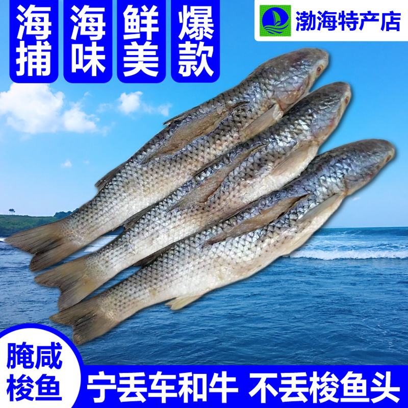 腌咸梭鱼渤海特产海鱼礼盒装包邮