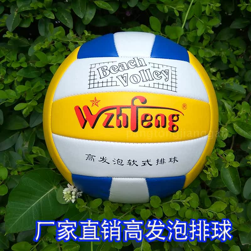 Ballon de volley-ball - Ref 2009531 Image 3