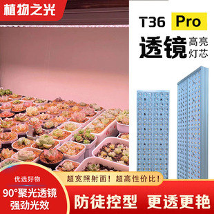 植物之光T36多肉补光灯聚光透镜全光谱仿阳光家用植物灯生长灯