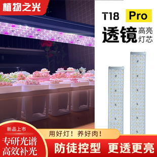 植物之光T18T36全光谱仿太阳光室内块根热植绿植多肉植物补光灯