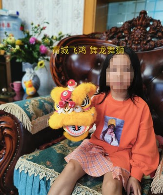 迷你狮醒狮装饰狮亲朋送礼舞狮