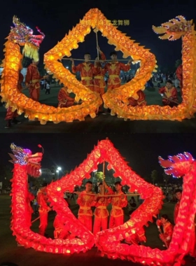 灯光舞龙舞龙夜光龙国标龙