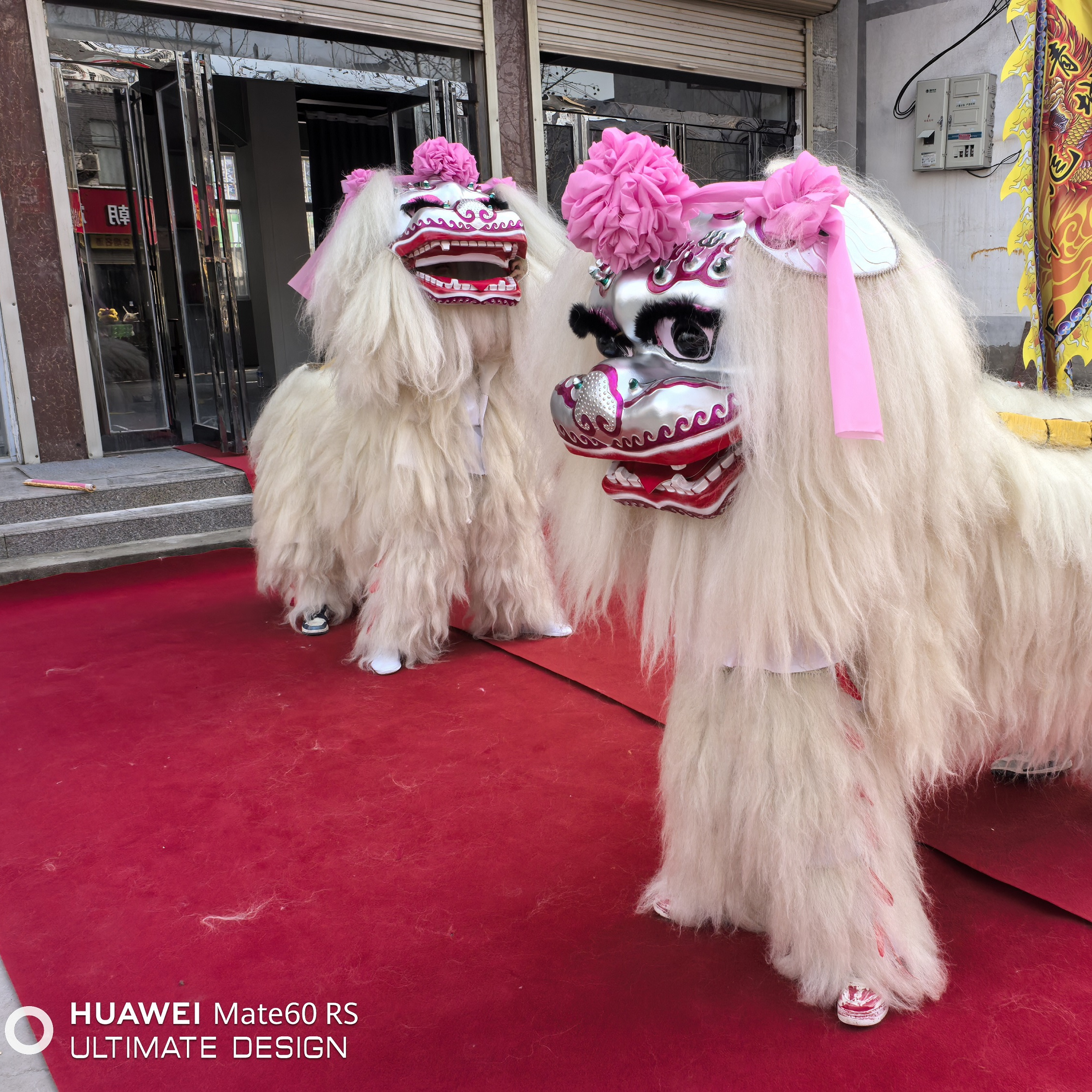 舞狮北狮正宗北狮用品道具专业