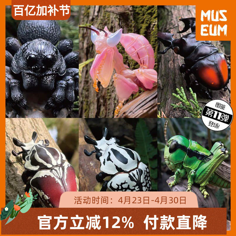 动物星球心宽体胖第11弹昆虫狼蛛兰花螳螂锹形虫金龟蝗虫蚂蚱模型