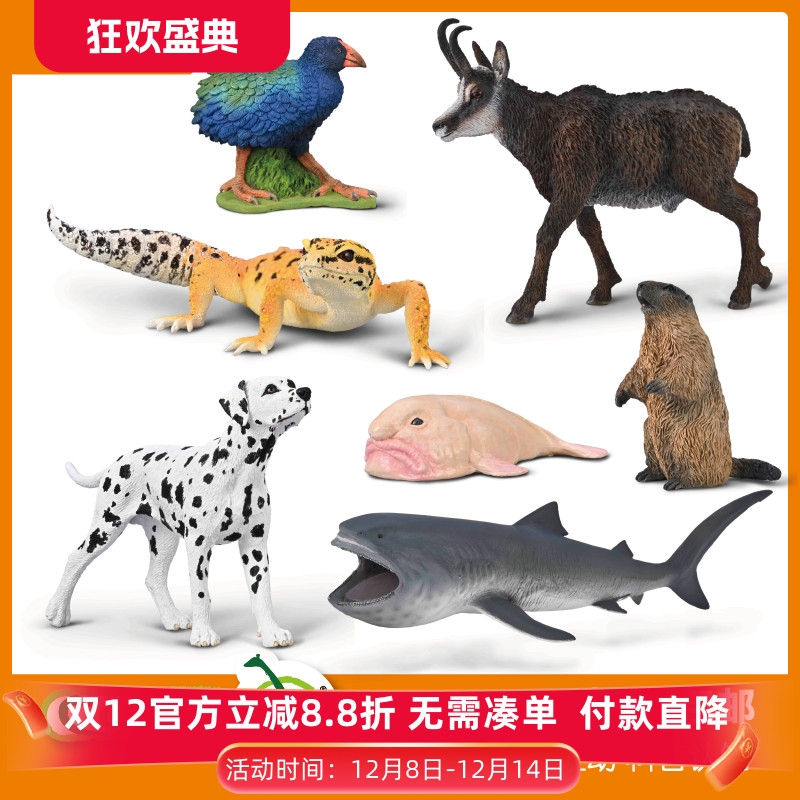 CollectA我你他 南秧鸡土拨鼠臆羚水滴鱼巨口鲨豹纹壁虎 模型玩具