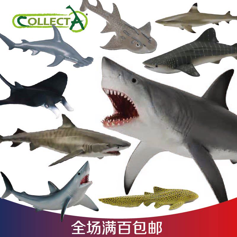 CollectA鲨鱼仿真海洋生物模型儿童塑胶玩具虎鲨锤头鲨豹纹鲨动森 - 实物图