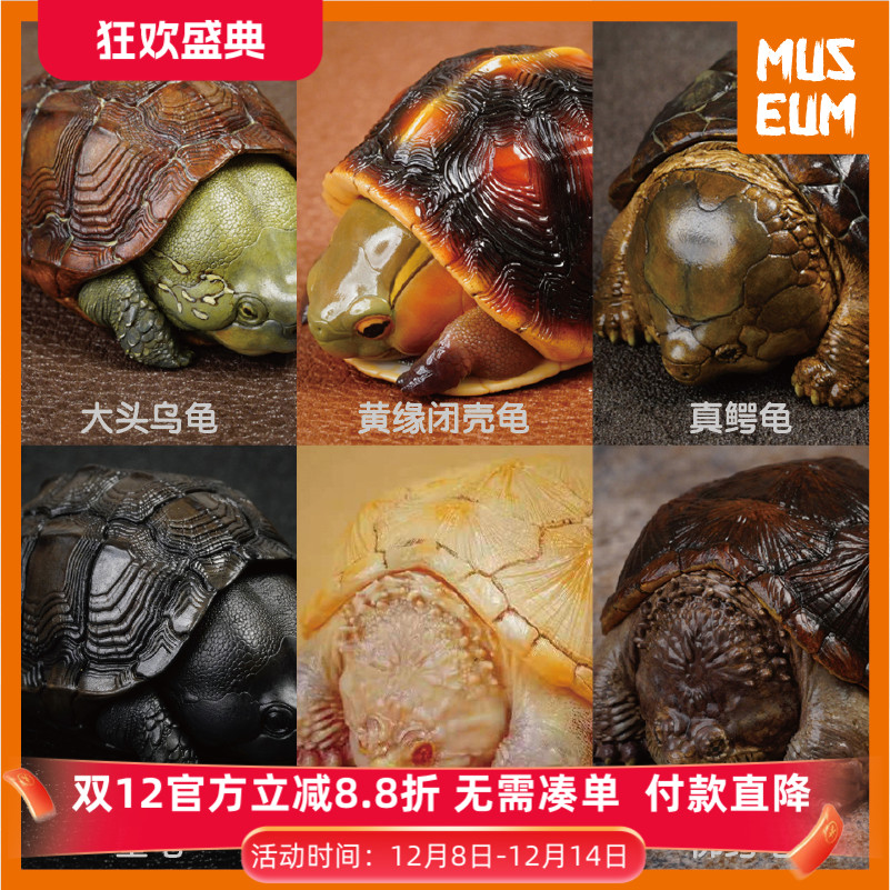 动物星球心宽体胖佛大黄缘墨龟