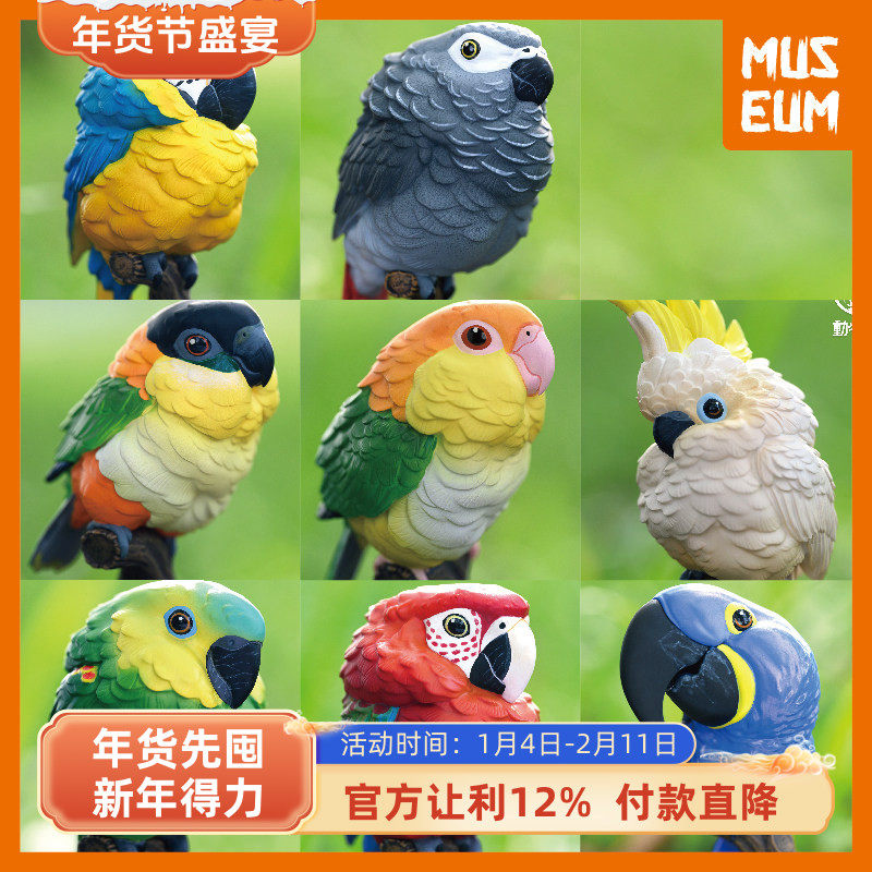 动物星球心宽体胖第18弹非洲灰葵花紫蓝金刚鹦鹉凯克鹦哥树脂模型