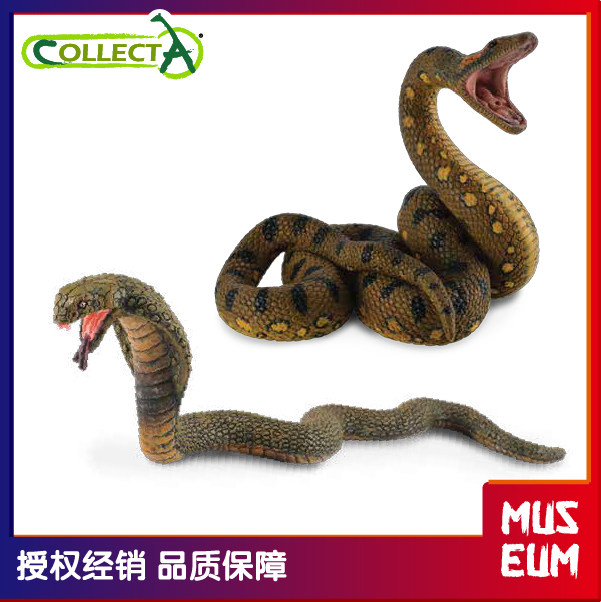 新品collecta我你他野生动物亚马逊森蚺蟒蛇眼镜蛇模型玩具客房摆
