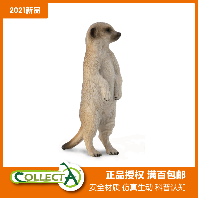 collecta我你他野生动物塑料仿真模型玩具非洲丁满 狐鼬狐獴88913