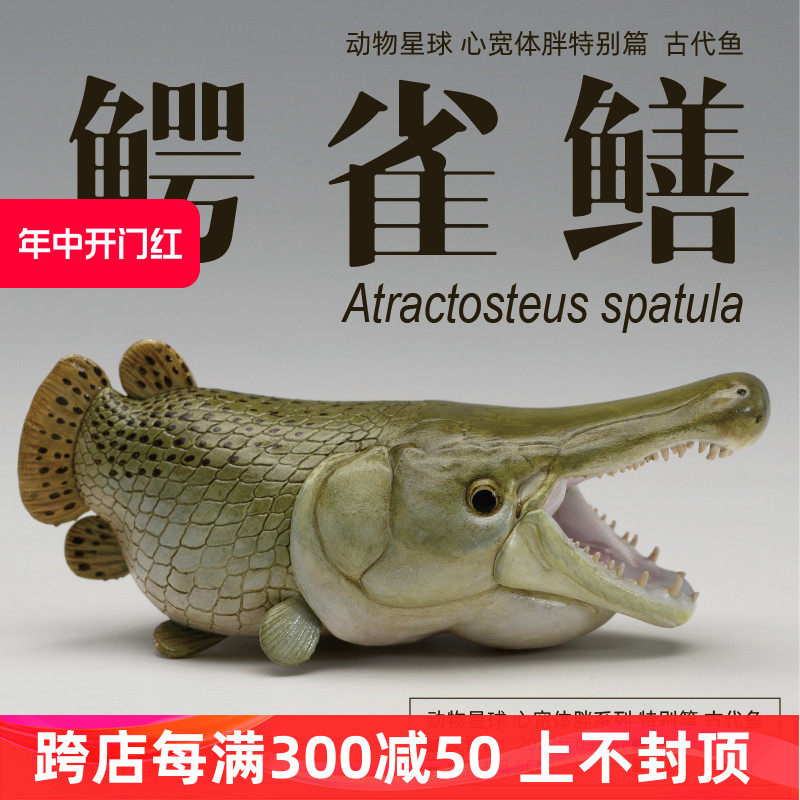 动物星球 心宽体胖特别篇 鳄雀鳝 动物树脂手办模型 鳄鱼幽灵火箭