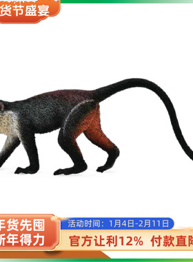 模赞 CollectA我你他 野生动物仿真模型 戴安娜长尾猴88673
