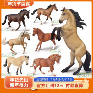 CollectA我你他 卢西塔诺母马标准种公马布列塔尼奥登堡 模型玩具