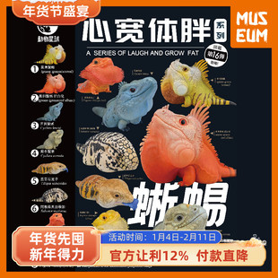 动物星球心宽体胖第16弹 蜥蜴鬣蜥鬃狮蜥蓝舌石龙子泰加树脂模型