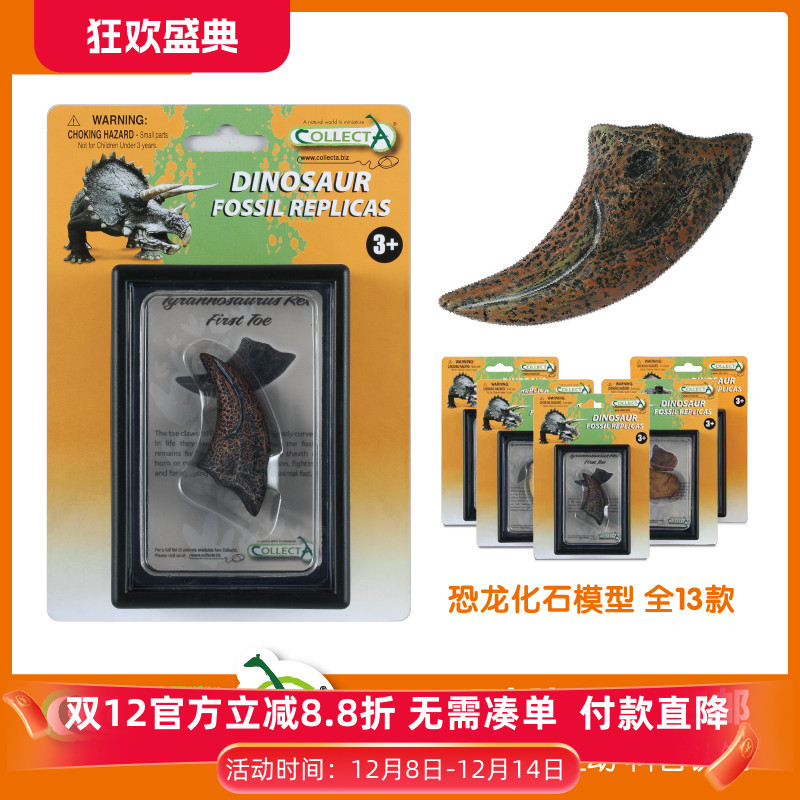 collecta牙齿化石挂卡收藏教具