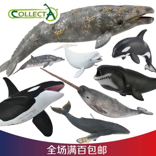 玩具模型Collecta虎鲸海洋