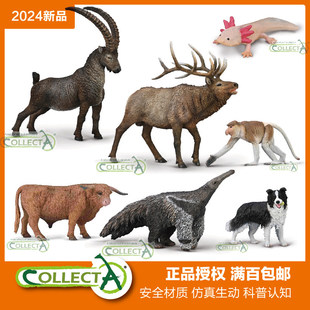 CollectA我你他加拿大马鹿高地牛六角恐龙长鼻猴大食蚁兽模型玩具