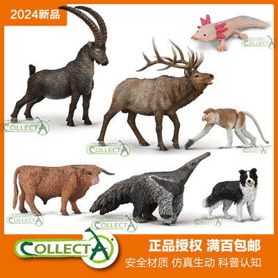 CollectA我你他加拿大马鹿高地牛六角恐龙长鼻猴大食蚁兽模型玩具