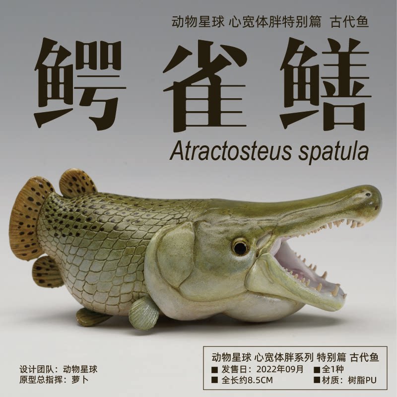 动物星球 心宽体胖特别篇 鳄雀鳝 动物树脂手办模型 鳄鱼幽灵火箭