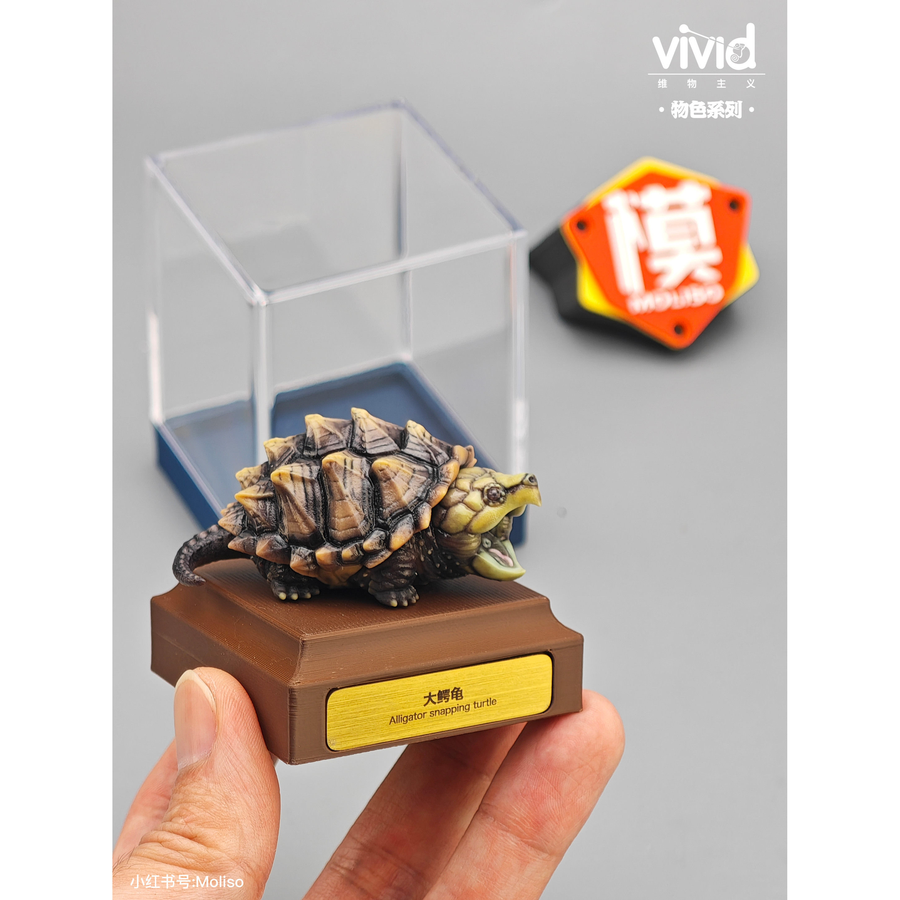vivid维物主义物色系列 大鳄龟 现货限时收藏玩具模型