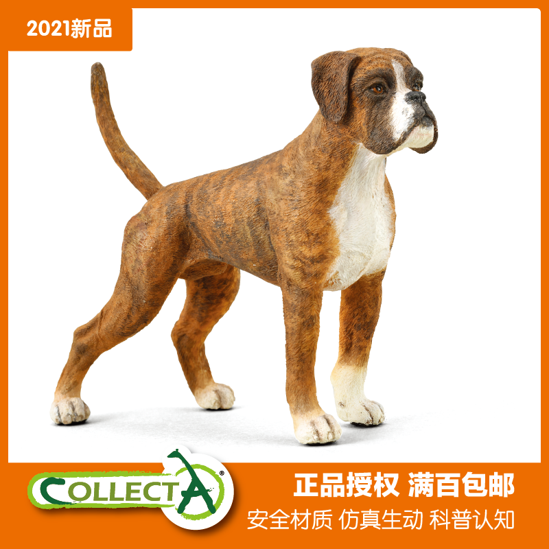 collecta 88936拳师犬 世界名犬德国大型犬宠物狗仿真模型玩具