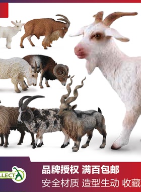 英国CollectA模型喜玛拉雅塔尔羊蛮羊四角羊捻角山羊欧洲盘羊雪羊