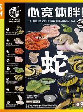 动物星云心宽体胖23蛇 巴伦游蛇黑眉锦蛇牛蛇玉米 蟒仿真模型玩具