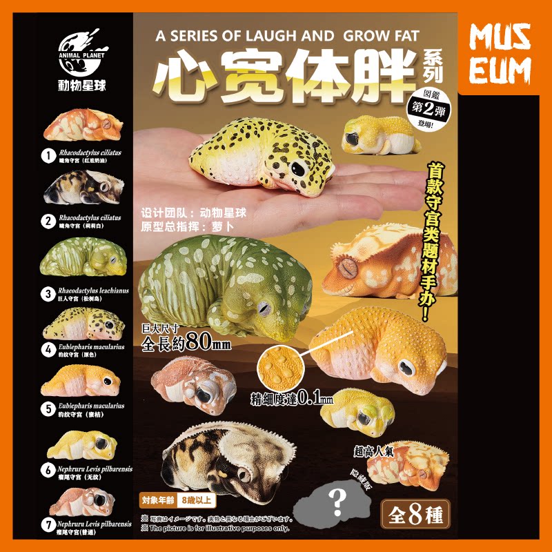 动物星球 心宽体胖02弹 睫角巨人豹纹瘤尾守宫壁虎四脚蛇模型盒蛋
