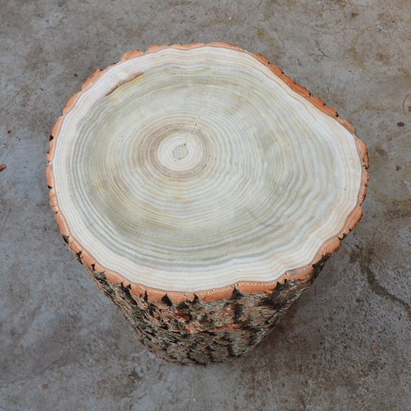 实木墩子木桩原木木桩实木墩子根雕凳子大板底座小木墩树墩花架