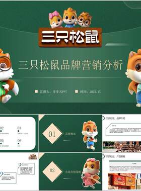 《三只松鼠品牌营销策略》市场调研分析完整成品模板22页PPT