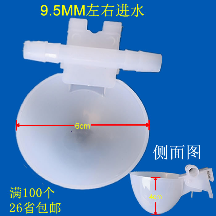 加厚鸽子水碗鹅用自动挂式