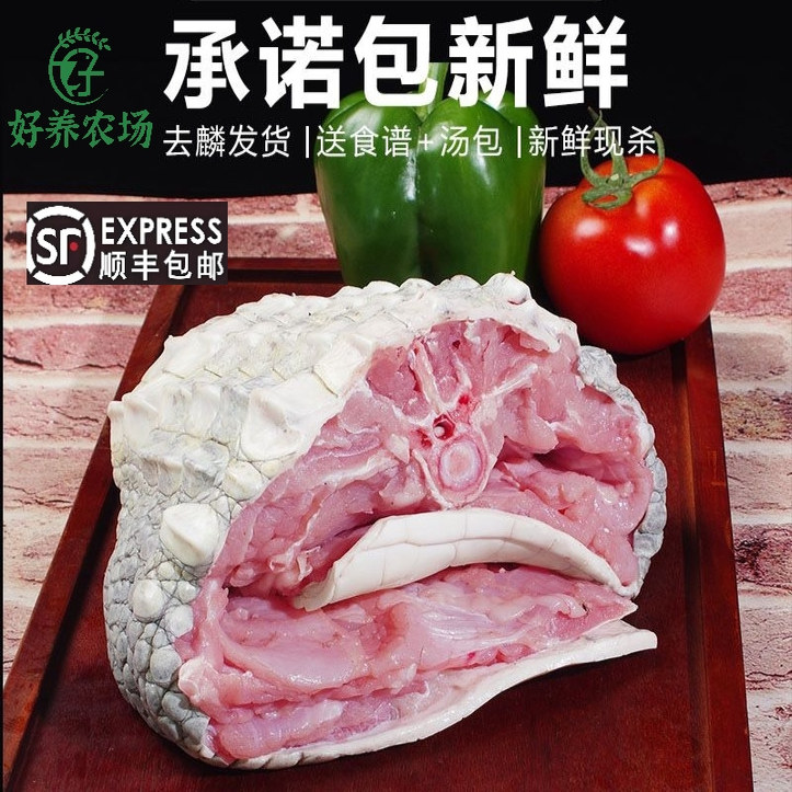新鲜鳄鱼肉带皮肉人工养殖鳄鱼现杀鳄鱼可食用鳄鱼带皮肉生鲜