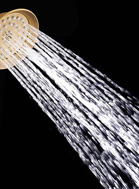 欧式全铜金色淋浴小花洒电话式仿古黑色玫瑰金手喷淋浴手持喷头