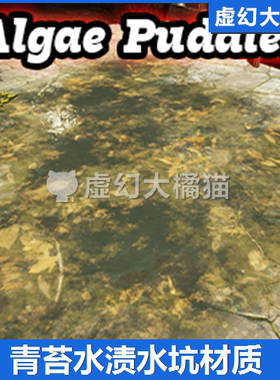 UE4虚幻5 Algae Puddles 青苔水渍水坑材质潮湿世界末日场景素材