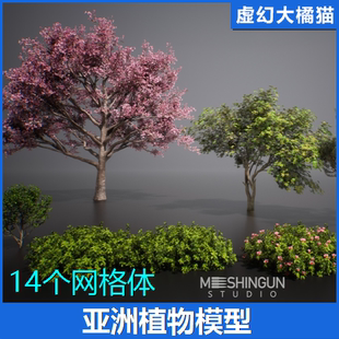 Vol2 UE5.1 Nanite Foliage 亚洲植物树木松树灌木梅花 Asian