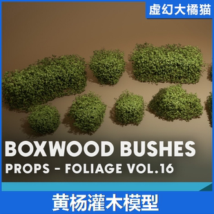 UE5.1+ Foliage VOL.16 Boxwood Bushes 灌木丛低矮园艺植物模型