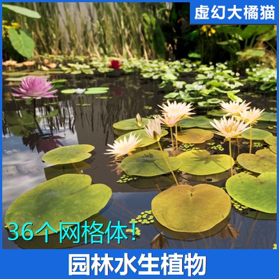 UE5 Landscaping Aquatic Plants 园林水生植物荷叶荷花王莲水草