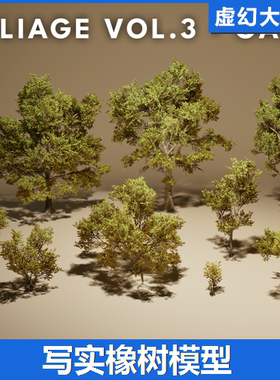 UE5橡树模型 Foliage VOL.3 - Oak Trees (Nanite and Low Poly)