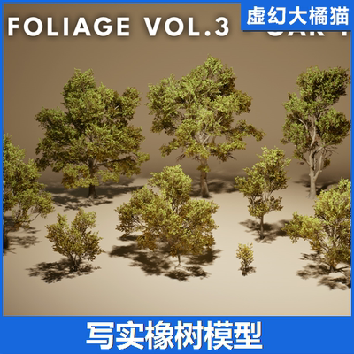UE5橡树模型 Foliage VOL.3 - Oak Trees (Nanite and Low Poly)