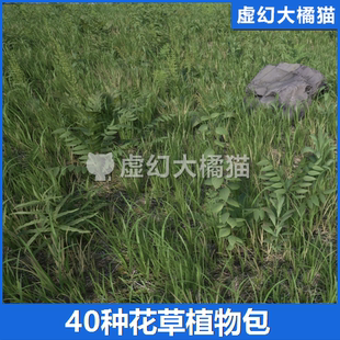 UE4.26-虚幻5.7 Plants Pack 40 种植物花朵草地模型道具野草石头