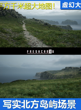 UE4虚幻5 Northern Island Pack 4x4 km 北欧海岛场景岩石崖植物